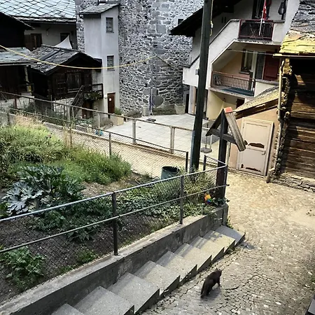 Lonys Wanderlust Nahe Zermatt *