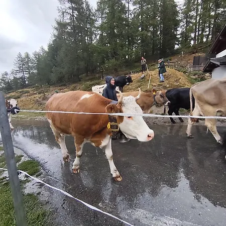 Lonys Wanderlust Nahe Zermatt Dom wakacyjny