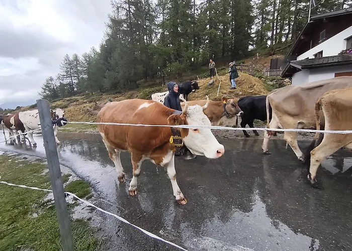 Lonys Wanderlust Nahe Zermatt Dom wakacyjny