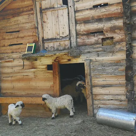 Lonys Wanderlust Nahe Zermatt * Sankt Niklaus