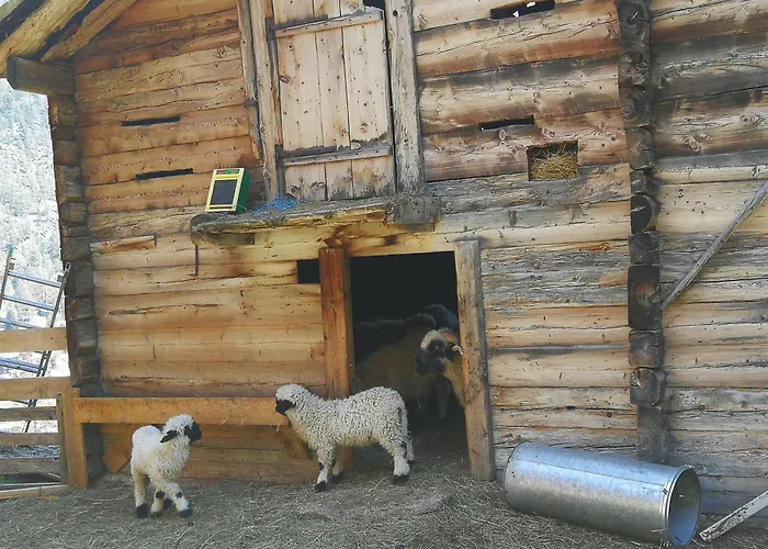 Lonys Wanderlust Nahe Zermatt * Sankt Niklaus