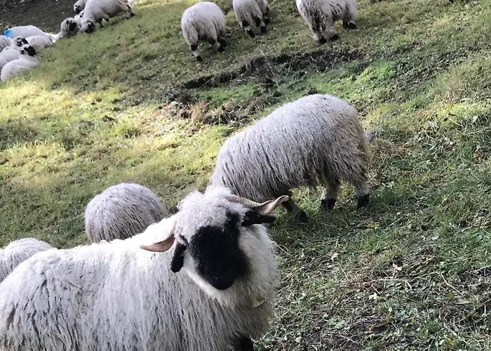 Lonys Wanderlust Nahe Zermatt * Sankt Niklaus